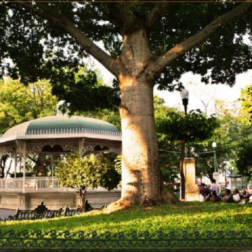 Marimba Park