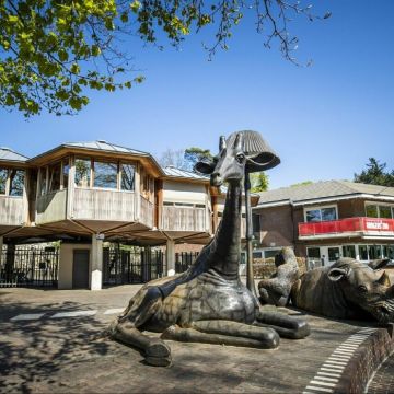 Королевский зоопарк Бургерс в Арнеме