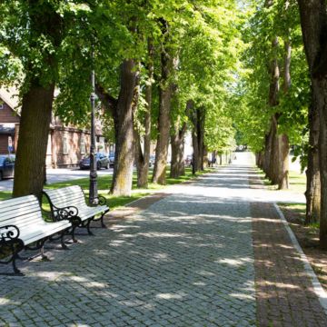Екатерининская аллея в Выру
