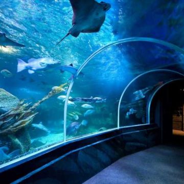Аквариум Sea Life Paris Val d'Europe
